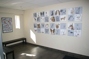Edmonton Pet Dental