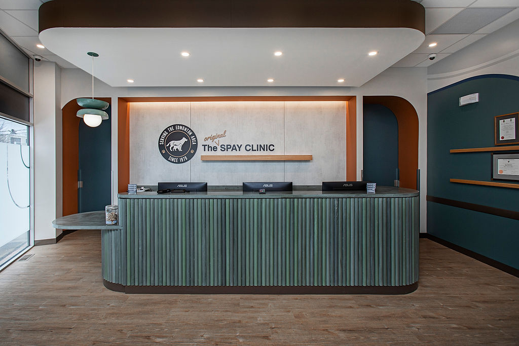 Veterinarian in Edmonton, Alberta